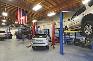 DSC_3584-X2-2