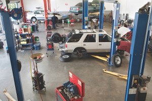 Shop buyer - shop bays